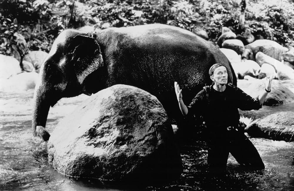 50／50 フィフティ・フィフティの画像