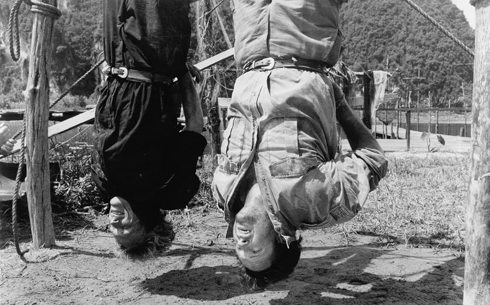 50／50 フィフティ・フィフティの画像