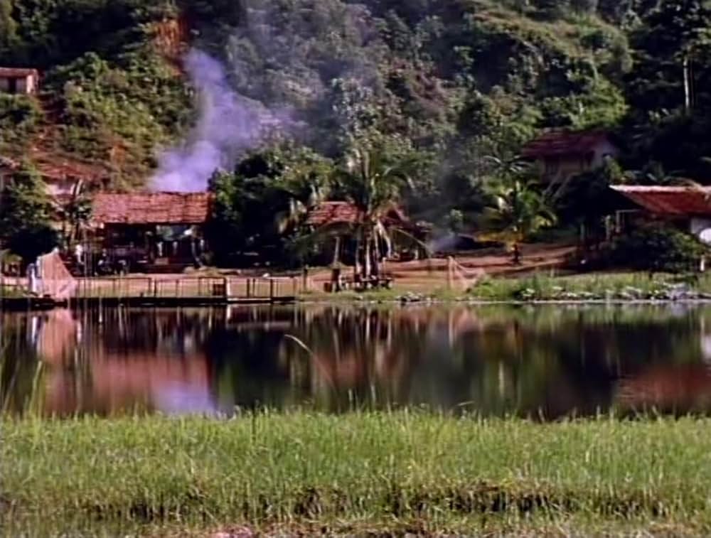 50／50 フィフティ・フィフティの画像