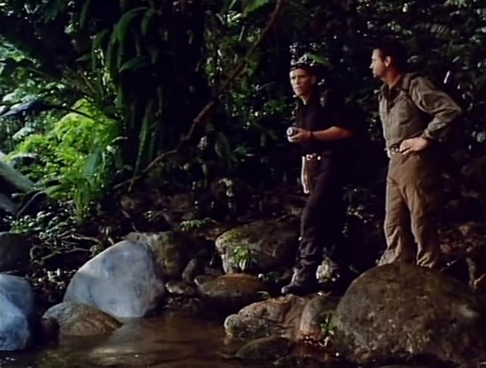 50／50 フィフティ・フィフティの画像