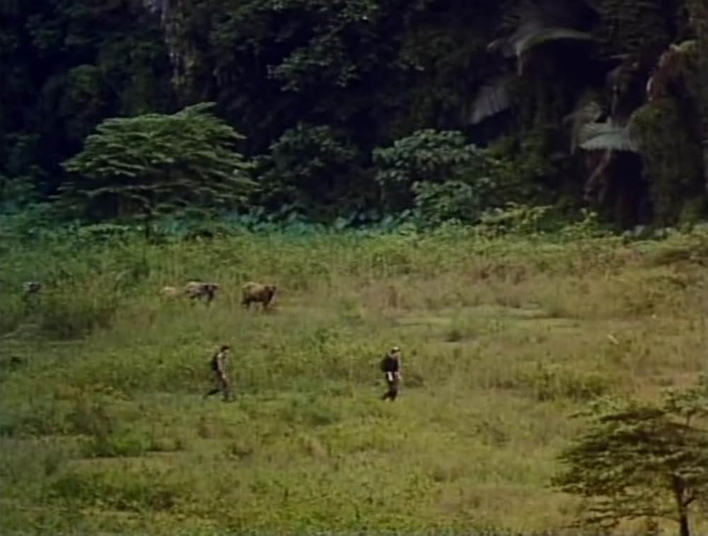 50／50 フィフティ・フィフティの画像