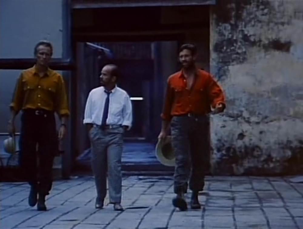 50／50 フィフティ・フィフティの画像