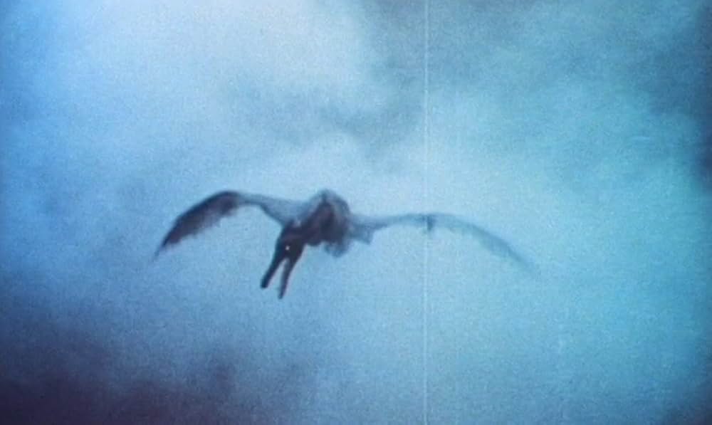 「金星怪獣の襲撃」の画像