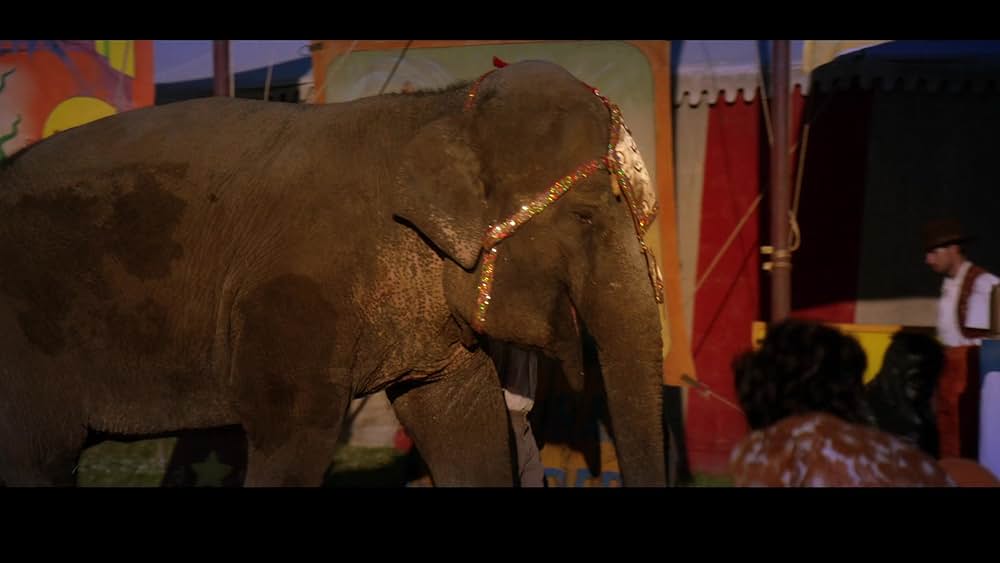 リトル・マーメイド 人魚姫と魔法の秘密の画像