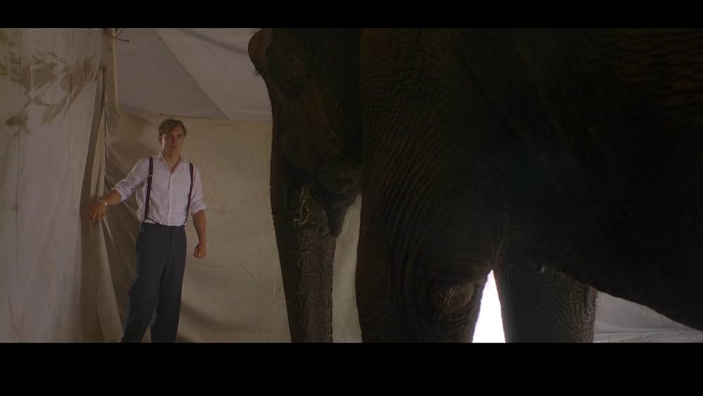 リトル・マーメイド 人魚姫と魔法の秘密の画像