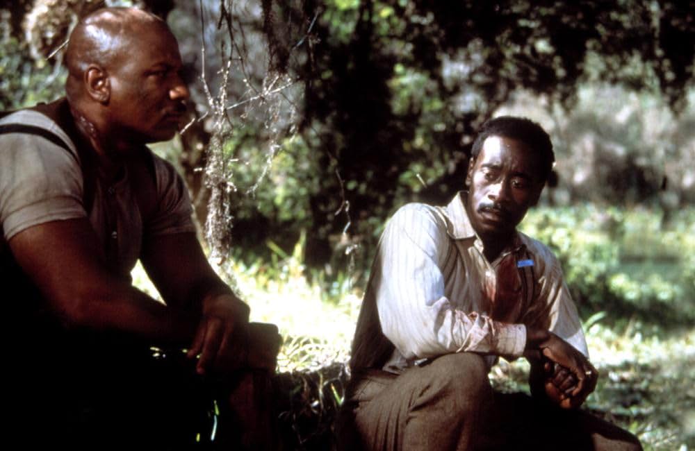 ローズウッドの画像