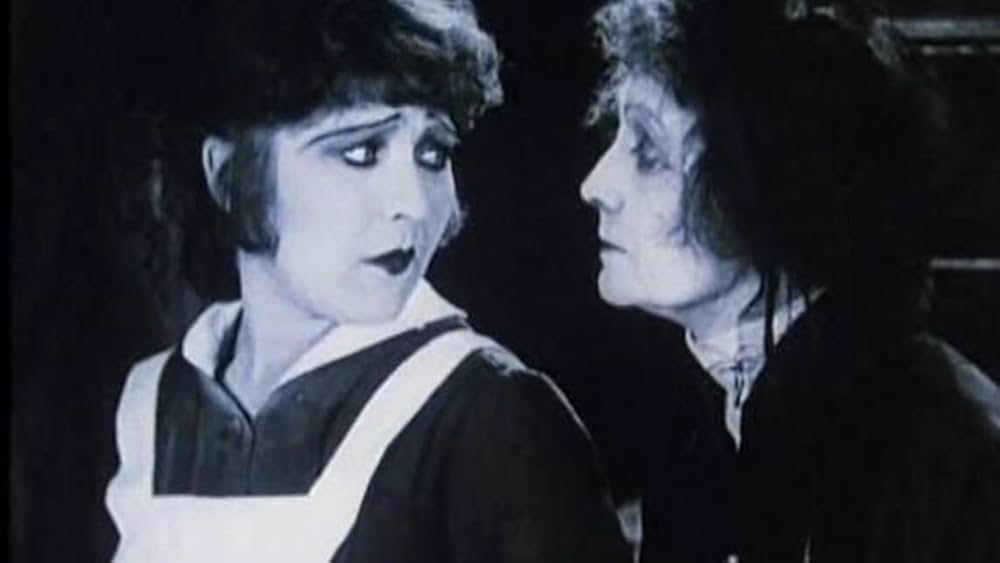 カトリーヌの画像