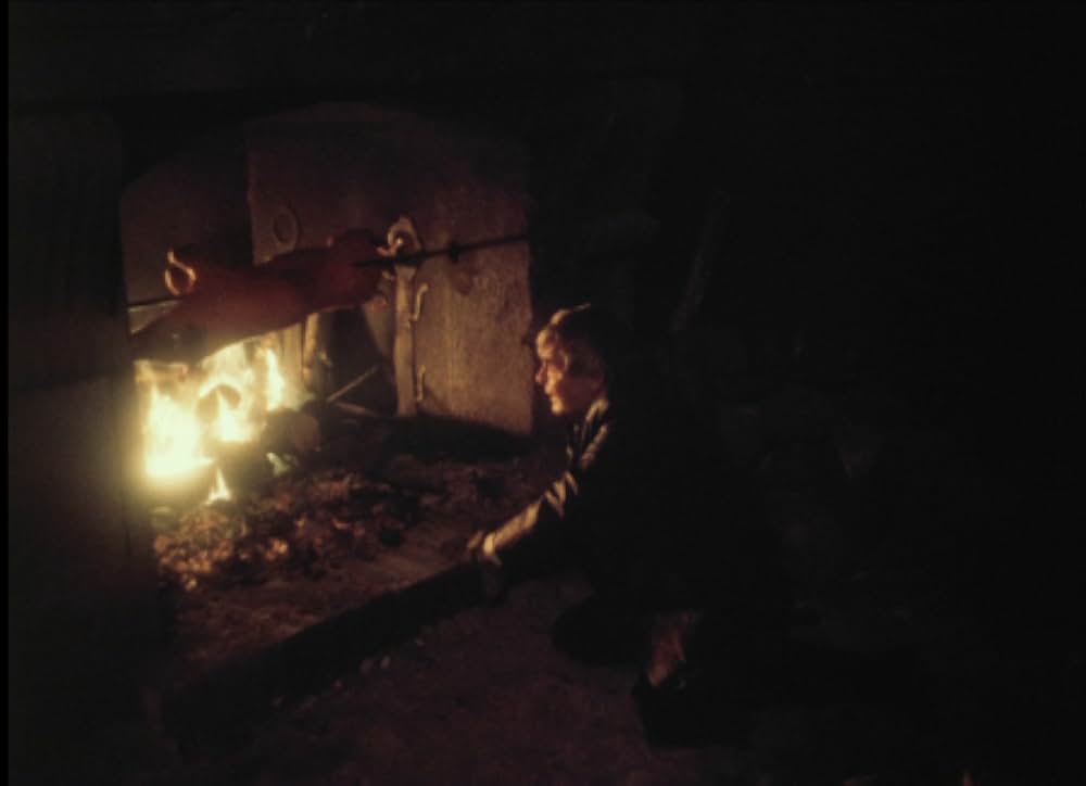 鳥獣の館／美女と野獣よりの画像