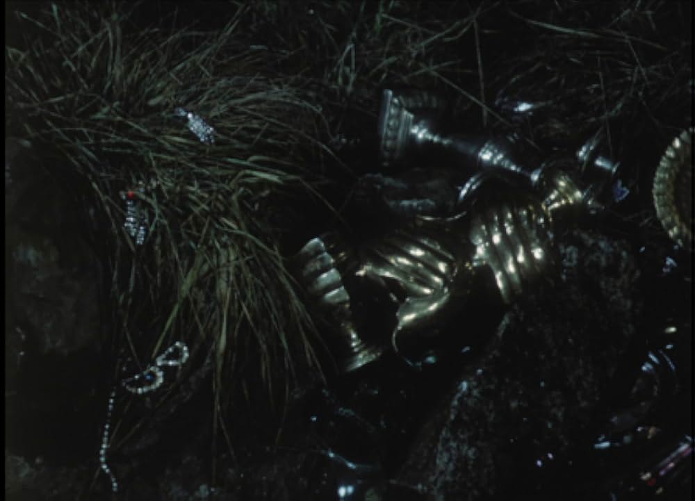 鳥獣の館／美女と野獣よりの画像