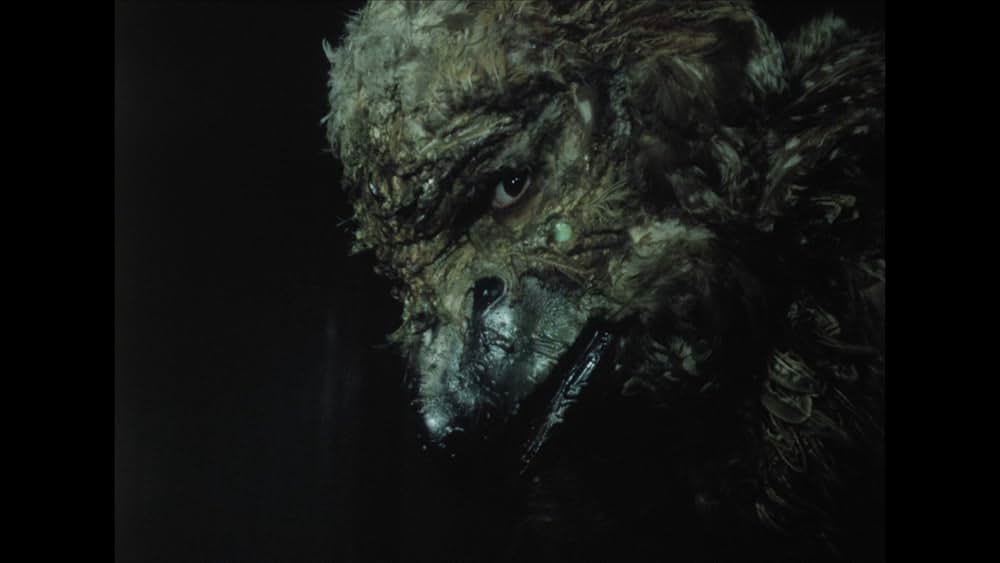 鳥獣の館／美女と野獣よりの画像