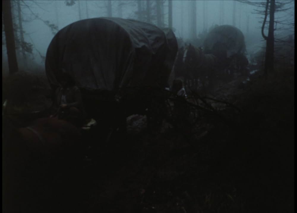 鳥獣の館／美女と野獣よりの画像