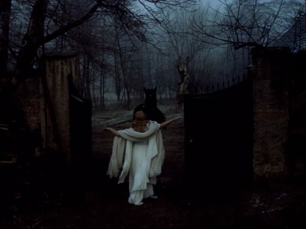 鳥獣の館／美女と野獣よりの画像