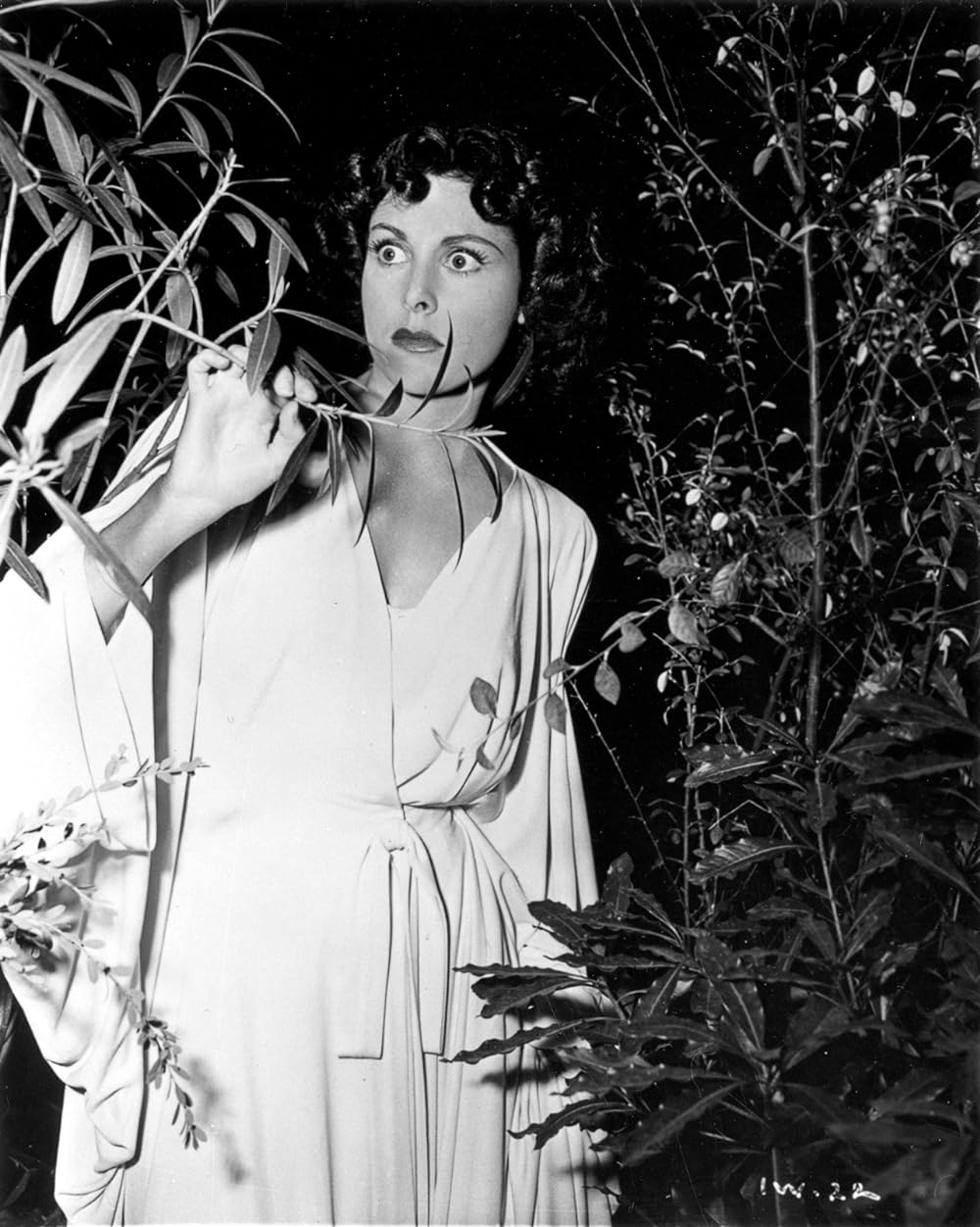 「私はゾンビと歩いた！」フランシス・ディーの画像