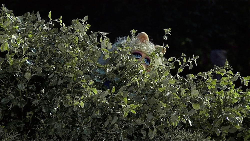 マペットめざせブロードウェイ！の画像