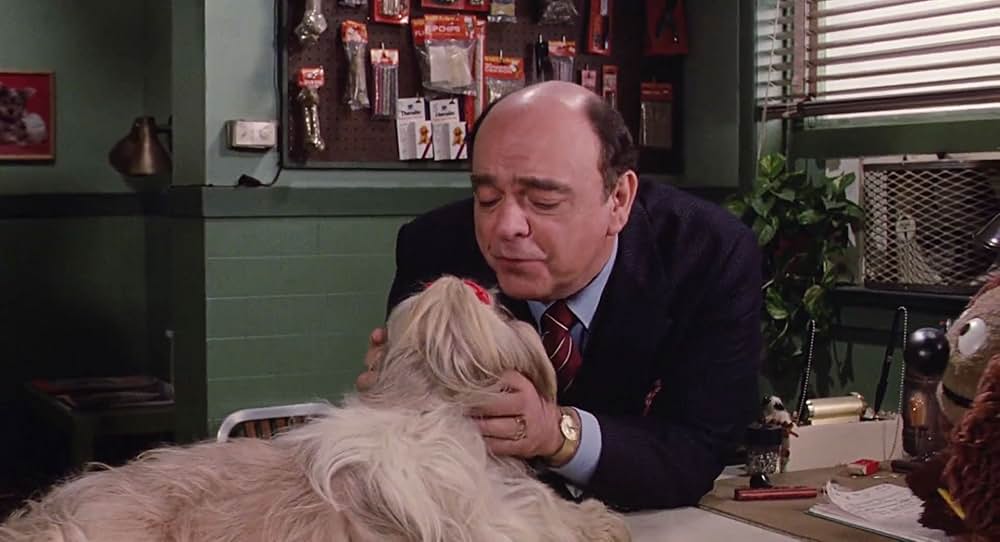 マペットめざせブロードウェイ！の画像