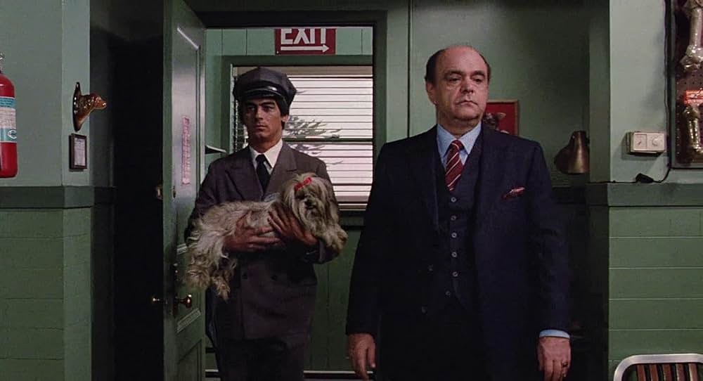 マペットめざせブロードウェイ！の画像