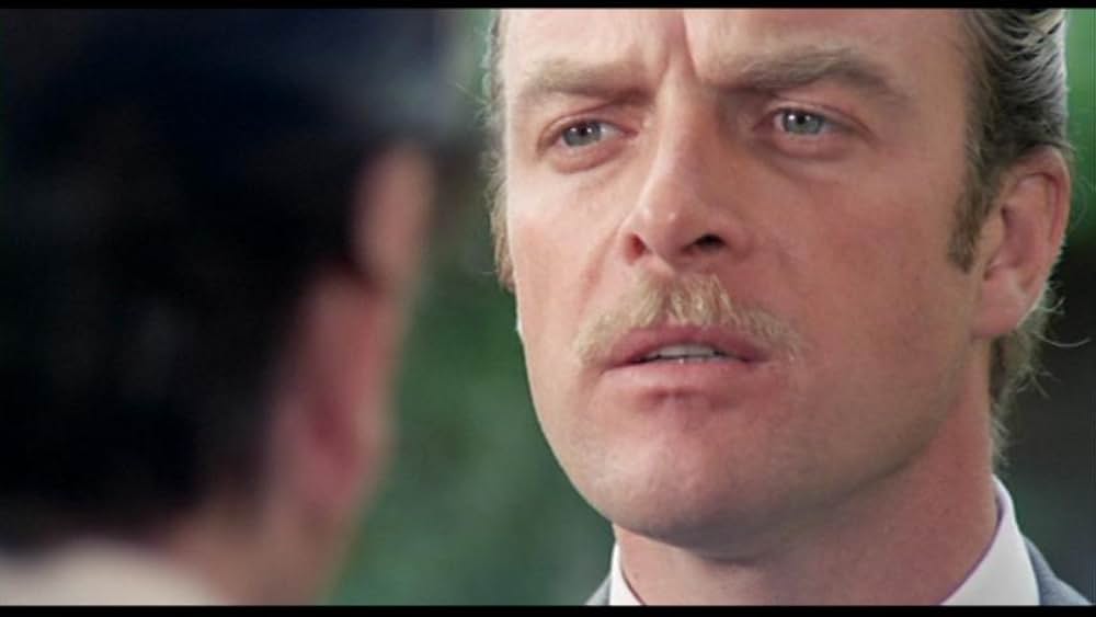 ザ・ボス 暗黒街の標的の画像