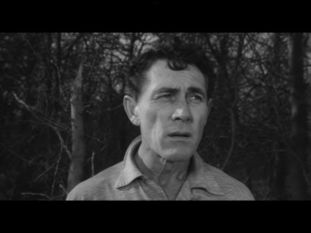 人喰いネズミの島／キラー・シュルーの画像