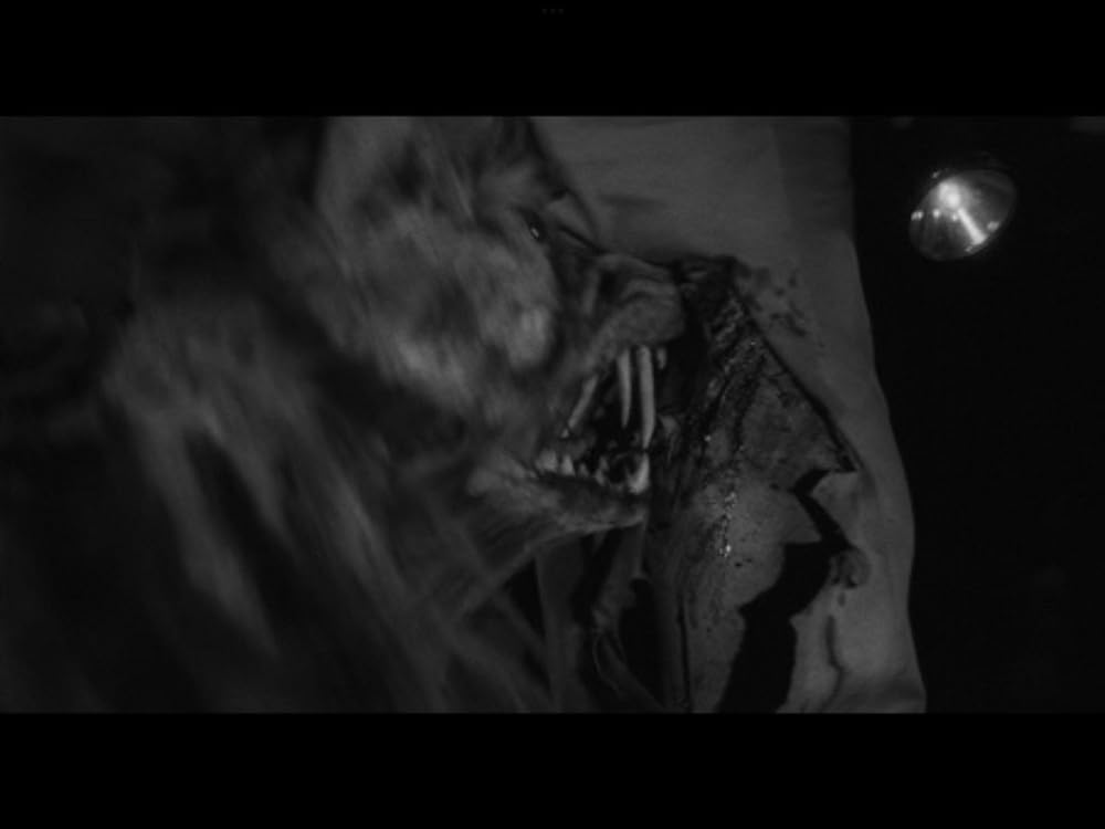 人喰いネズミの島／キラー・シュルーの画像