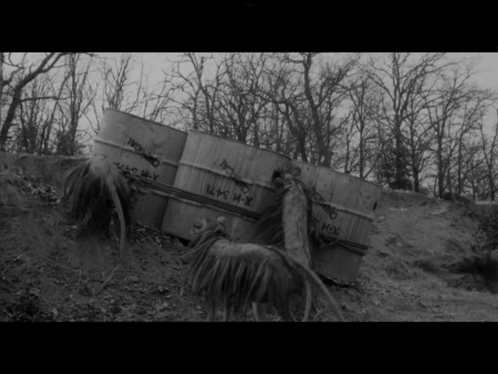 人喰いネズミの島／キラー・シュルーの画像