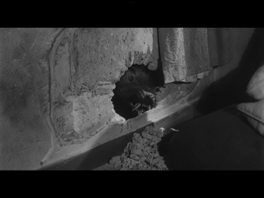 人喰いネズミの島／キラー・シュルーの画像