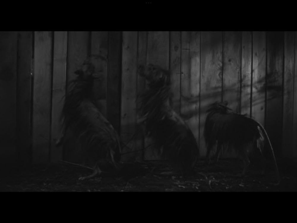 人喰いネズミの島／キラー・シュルーの画像