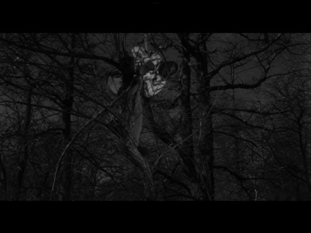 人喰いネズミの島／キラー・シュルーの画像