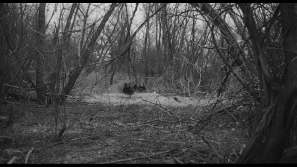 人喰いネズミの島／キラー・シュルーの画像