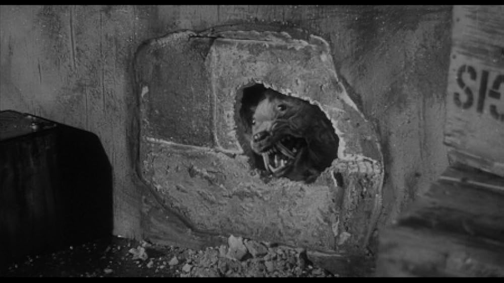 人喰いネズミの島／キラー・シュルーの画像