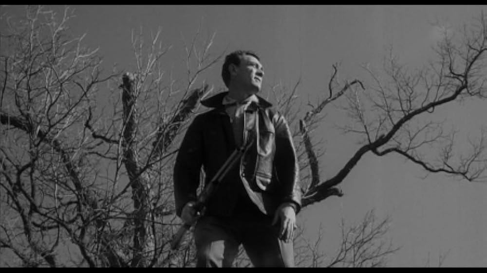 人喰いネズミの島／キラー・シュルーの画像