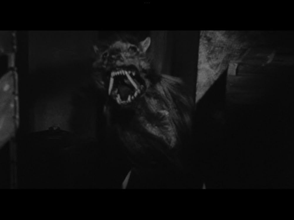 人喰いネズミの島／キラー・シュルーの画像