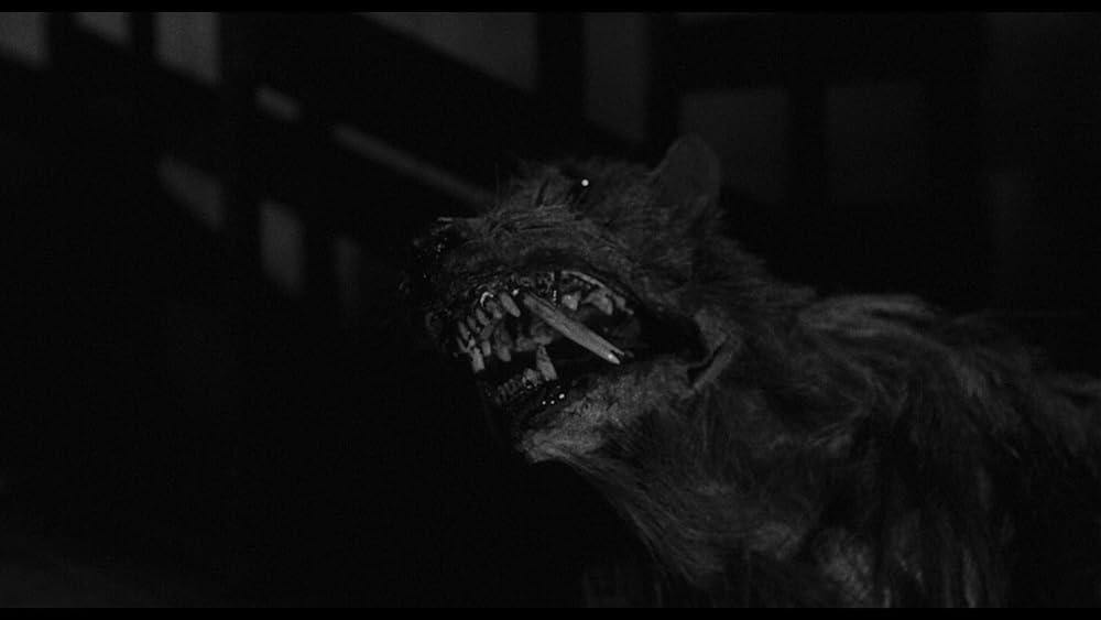 人喰いネズミの島／キラー・シュルーの画像