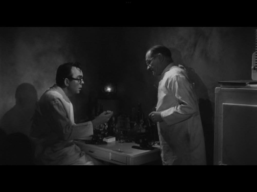 人喰いネズミの島／キラー・シュルーの画像