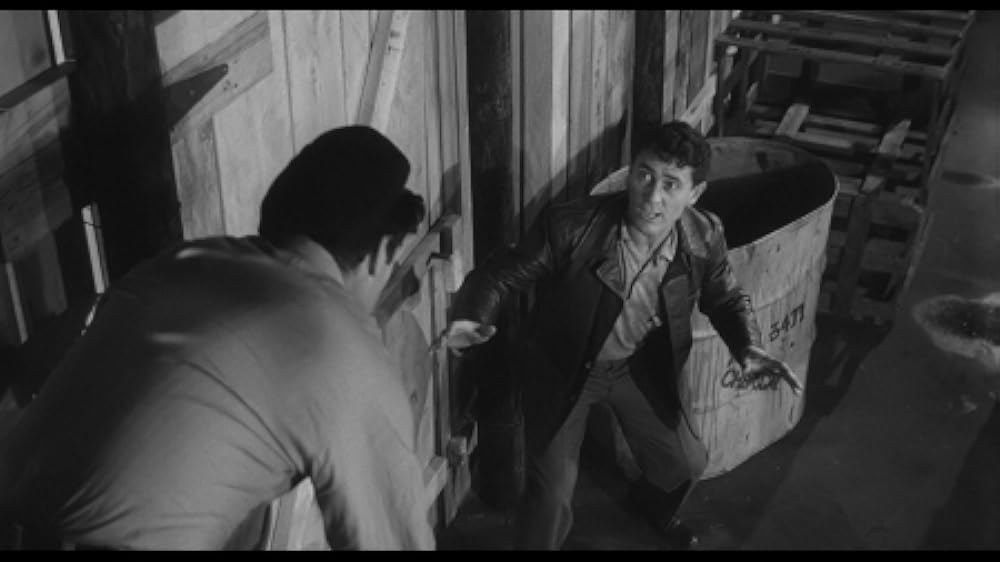 人喰いネズミの島／キラー・シュルーの画像