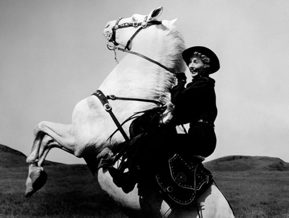 四十挺の拳銃の画像