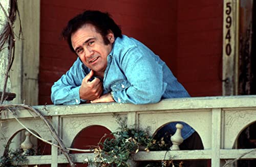 「ジャック・ザ・ベア みんな愛してる」ダニー・デビートの画像