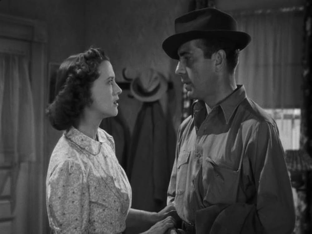 夜までドライブの画像