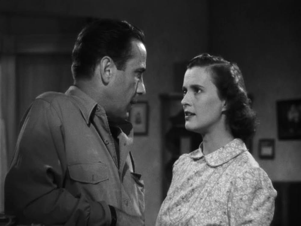 夜までドライブの画像