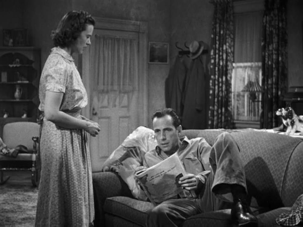 夜までドライブの画像