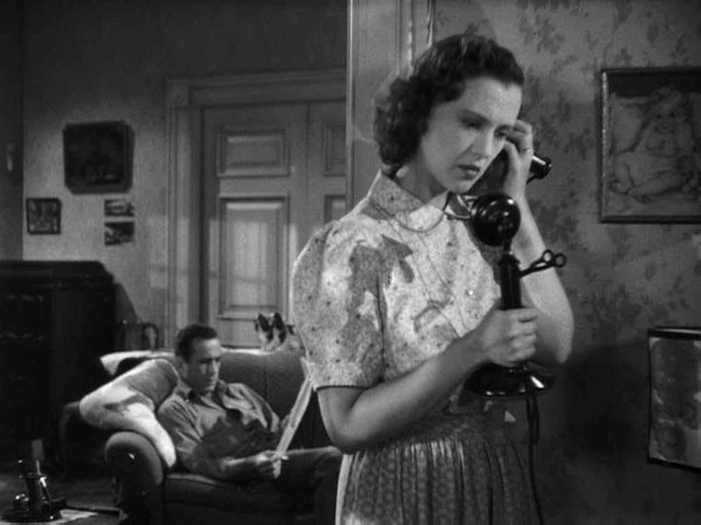 夜までドライブの画像