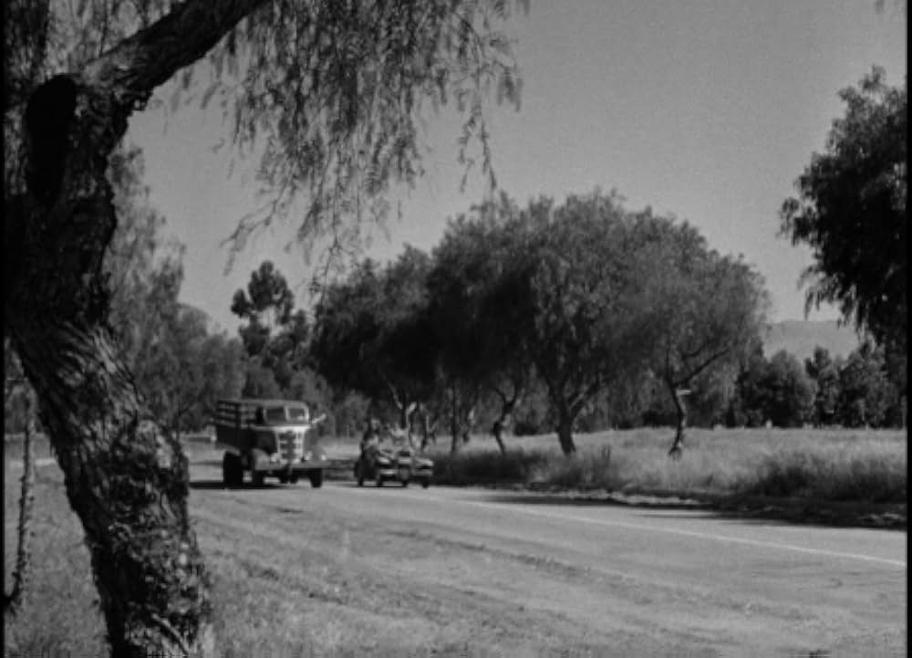 夜までドライブの画像