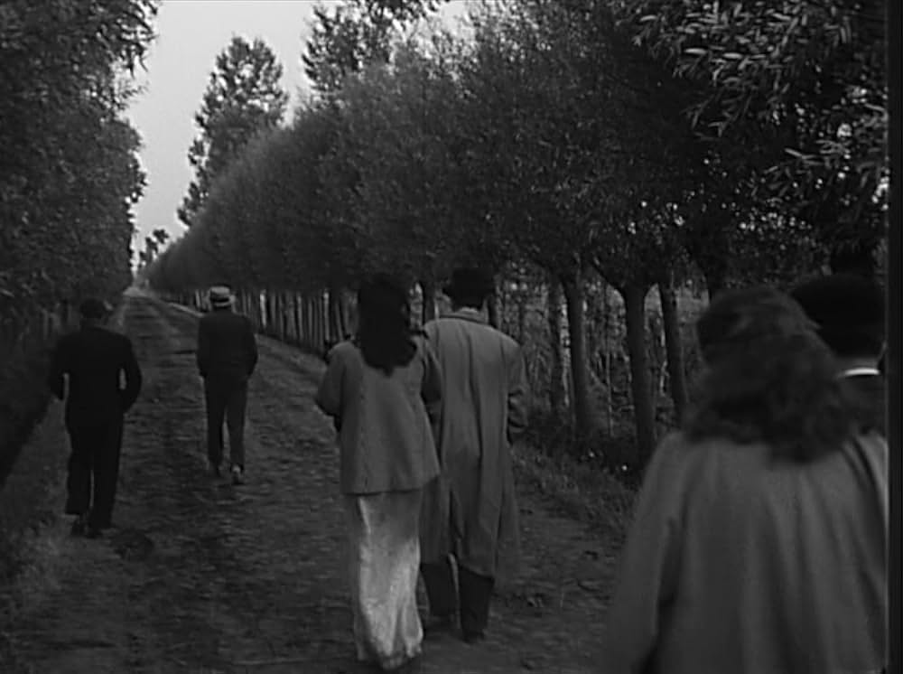 寄席の脚光の画像