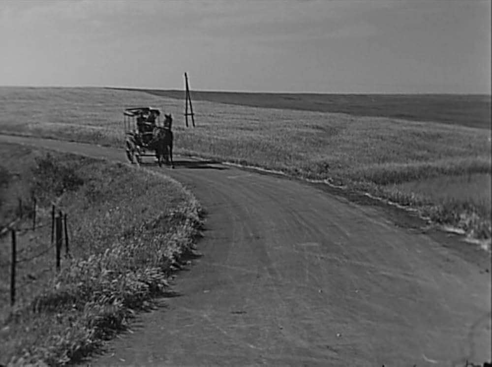 寄席の脚光の画像