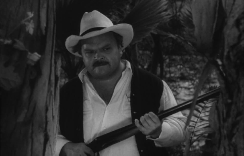 「吸血怪獣ヒルゴンの猛襲」Bruno VeSotaの画像