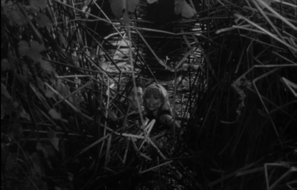 「吸血怪獣ヒルゴンの猛襲」Michael Emmet & Yvette Vickersの画像