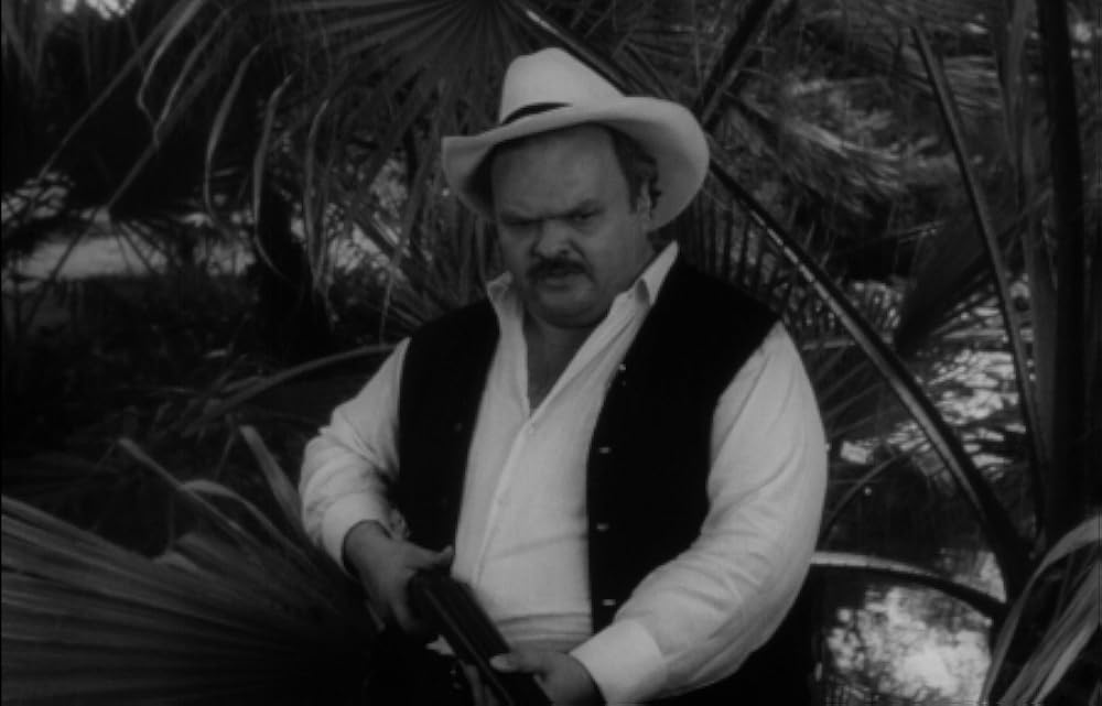 「吸血怪獣ヒルゴンの猛襲」Bruno VeSotaの画像