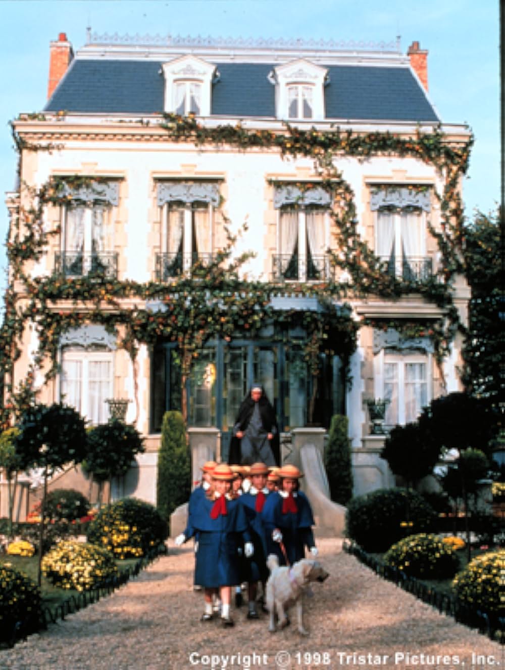 マドレーヌの画像