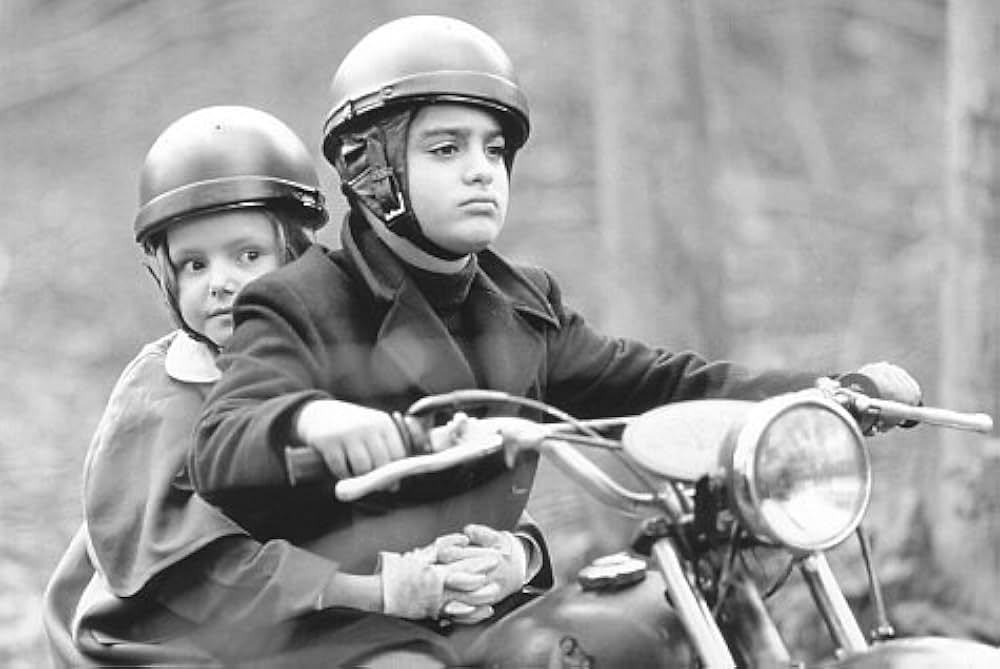 マドレーヌの画像