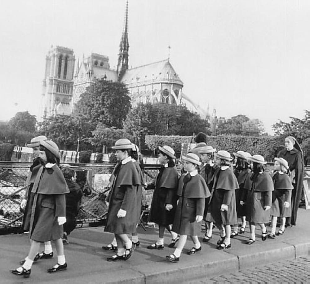 マドレーヌの画像