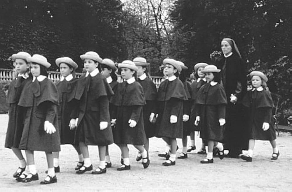 マドレーヌの画像